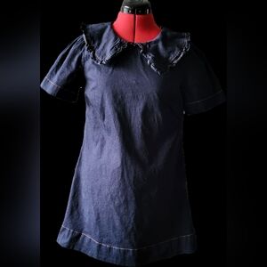 Umgee Navy Denim Mini Dress with Ruffle Collar
